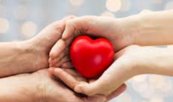 3 tür sevgi vardır. Eğer, Çünkü, Rağmen (Masumi Toyoteme)